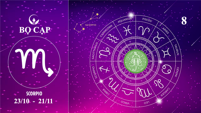 CUNG BỌ CẠP 23/10-21/11