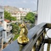 MÈO VÀNG MAY MẮN