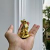 MÈO VÀNG MAY MẮN