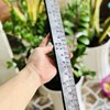  BỘ "ĐỒ HÀNH NGHỀ" CỦA THẦY HƠN BA ĐỜI