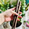  BỘ "ĐỒ HÀNH NGHỀ" CỦA THẦY HƠN BA ĐỜI