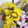 CHUỖI BÁT NHÃ (Thầy Thích Pháp Hoà)