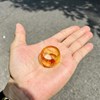 NHẪN HUYẾT HỔ PHÁCH