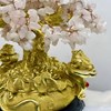 CÂY PHÚ QUÝ THẠCH ANH HỒNG